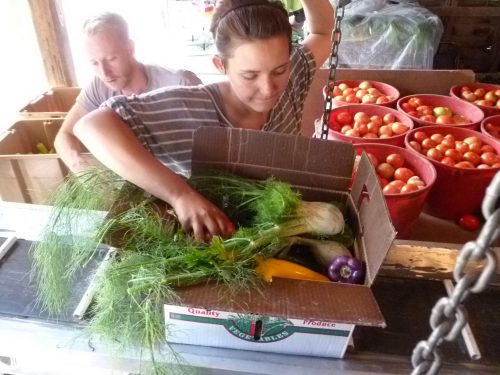 Alina Yaccino, former Angelic Organics employee and current site host at Pure Organic Juicery in Barrington, packs a box with characteristic joy
